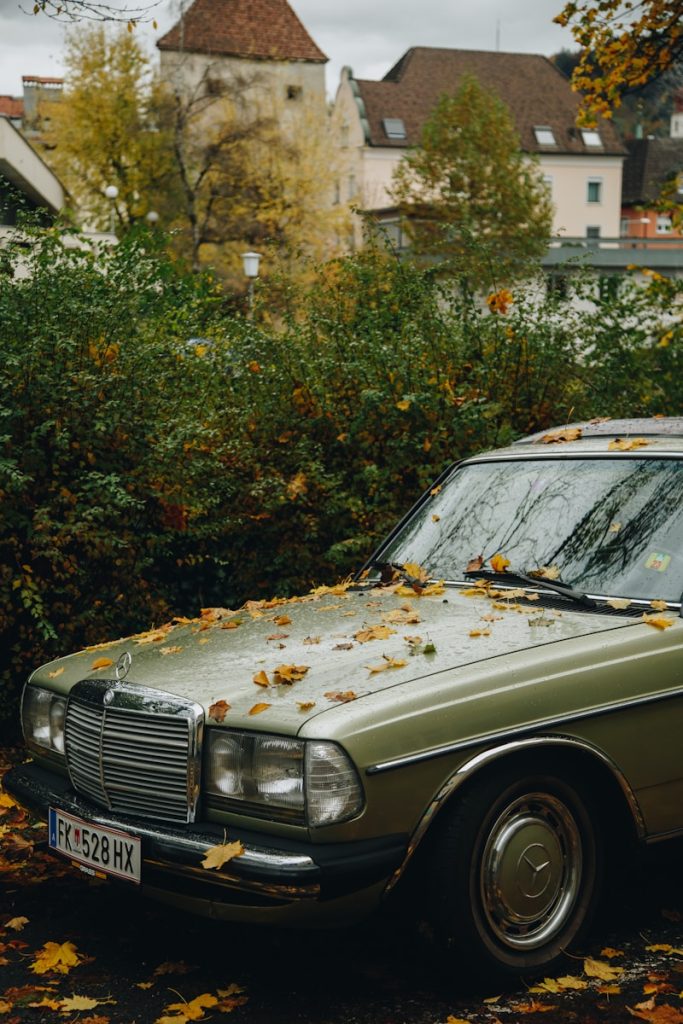 a green car parked in front of a tree